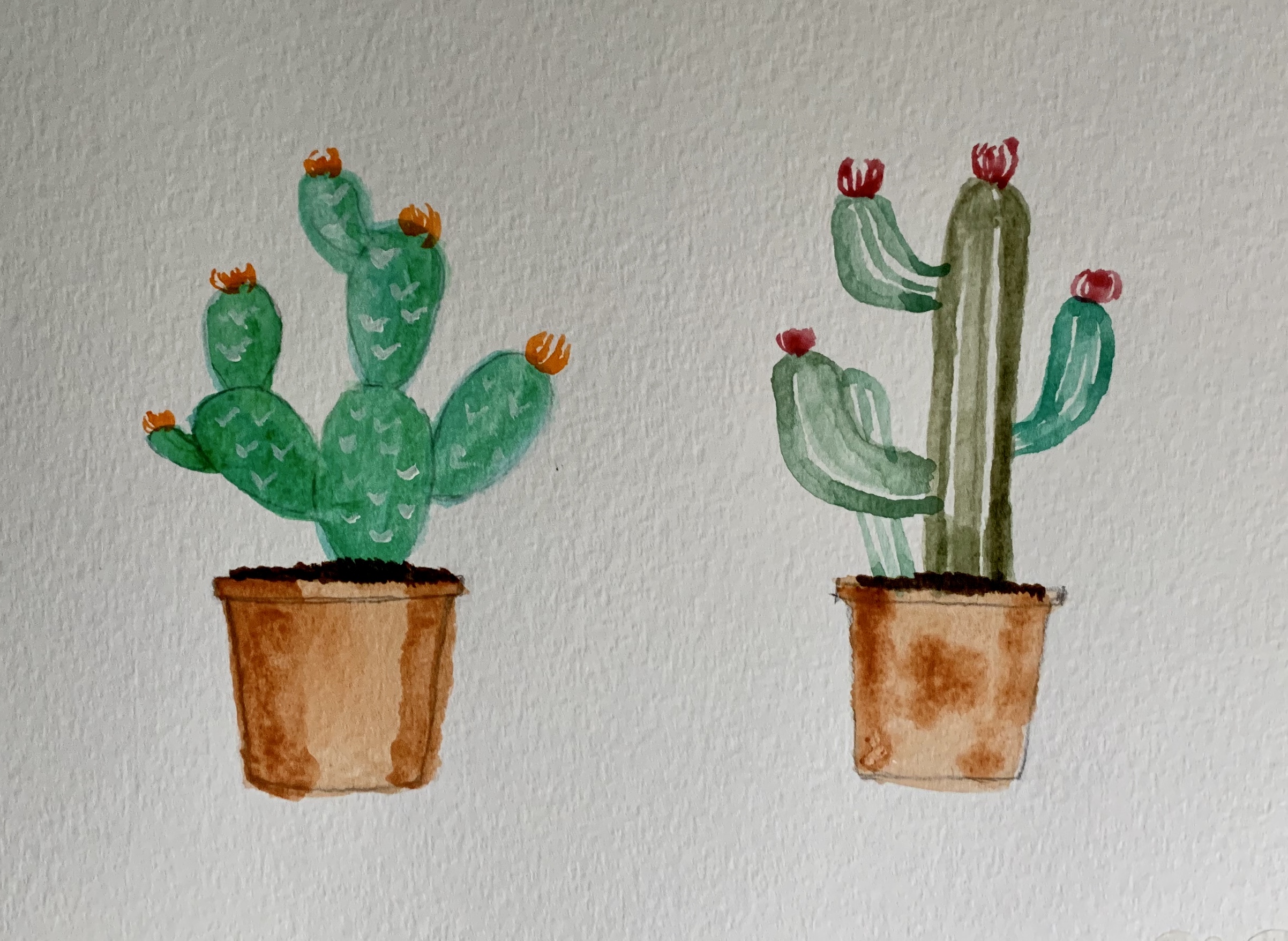 watercoloring cactus by Bai